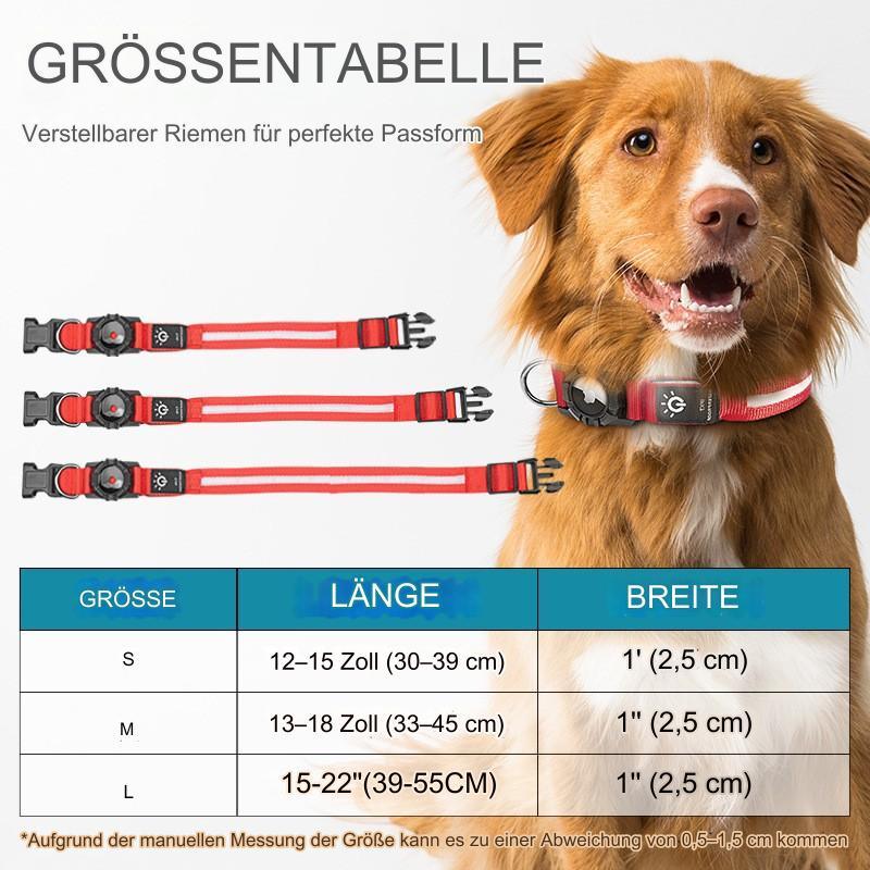 Modernes Led Hundehalsband Sichtbarkeit auf der Straße - Media-Bro