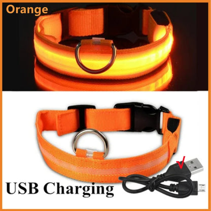 LED Glowing Dog Collars Rechargeable